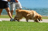 op vakantie wandeling